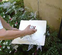 Pin On Garden