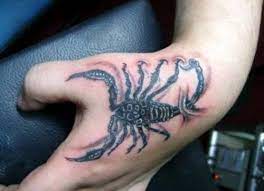 Scorpion Tattoos For Men Scorpion Tattoo Design Scorpion Tattoo Tattoo Designs