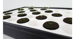 I am trying to grow lettuce indoors for the first time. How To Grow Radishes Indoors With Hydroponics 1000bulbs Com Blog