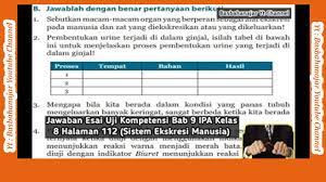 Kunci jawaban halaman 70 tema 5 kelas 6. Jawaban Esai Uji Kompetensi Bab 9 Ipa Kelas 8 Halaman 112 Sistem Ekskresi Manusia Youtube