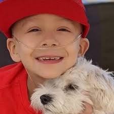 Fundraiser for Amanda Fernandez by Christina Madril : Liam Fernandez  Memorial Service