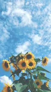Check spelling or type a new query. Flowers Kolpaper Awesome Free Hd Wallpapers