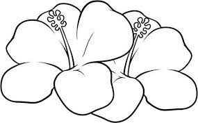 Keep your kids busy doing something fun and creative by printing out free coloring pages. Hawaiian Flowers Coloring Pages Printable Flower Coloring Pages Flower Coloring Pages Hawaiian Flowers