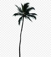 Choose from 6,399 palm tree silhouette designs, clip art files, and more! Palm Trees Vector Graphics Coconut Transparency Png 434x929px Palm Trees Arecales Asian Palmyra Palm Attalea Speciosa