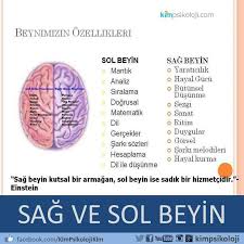 Beynimiz Ile Ilgili Bilgiler Gelisim Psikolojisi Psikoloji Rehber Ogretmen
