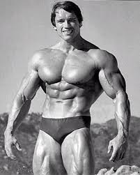To Be Or Not To Be Not To Be Arnold Schwarzenegger Arnold Schwarzenegger Abs Workout For Women Bodybuilding Arnold Schwarzenegger