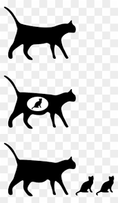 Download kitten images and photos. Free Clipart Cats And Kittens Transparent Png Clipart Images Free Download Clipartmax