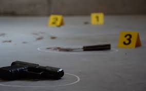 The latest idea is requiring liability insurance for gun owners, which seems to have first been suggested by john wasik blogging. 6 On Target Concealed Carry Insurance Options 2021 Gun Digest