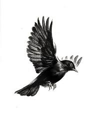 Simple Blackbird Tattoo Design Simple Drawing Of The Flying Blackbird Black Bird Tattoo Flying Bird Tattoo Birds Tattoo