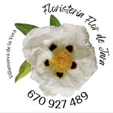 Floristería Flor de Jara