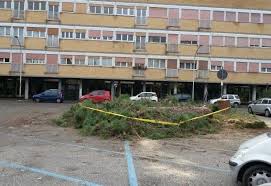 In una zona silenziosa del villaggio, in via olanda, è situato l`appartamento di mq. Villaggio Olimpico Abbattuto Un Pino A Piazza Grecia Questo Il Motivo Flaminio Parioli