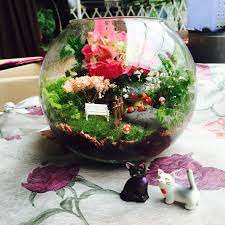 coffeegarden 咖啡花園100 自家設計及製作自家設計所有產品獨一無二每一盆我們都用心製作 可自訂公仔玻璃瓶款式 歡迎查詢 為何選購我們 種植泥土是本店自家混合而成的培養土使植物更加 christmas