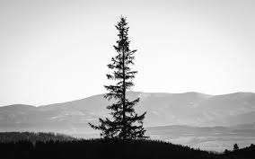 Black And White Scenery Wallpaper Monochrome Black White Landscapes Mountains Sky Silhouette Wallpaper 1920x1200 37996 Black And White Landscape Cool Paintings Winter Landscape