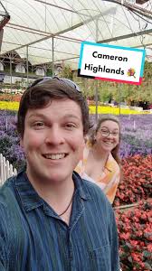 Flowers everywhere! 💐 How beautiful are these flower fields in the Cameron  Highlands? Of course once you've done strolling through the fields, you've  got to pick up some fresh strawberries! 😋🍓 Put ...