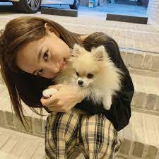 13 Potret Idol Bersama Anjing Peliharaan Manis Banget Anjing Peliharaan Anjing Anjing Chihuahua