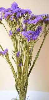 Rather than searching for hours to figure out which types and colors of flowers will work best for your event, go for a simple and fast solution by ordering one of our convenient flower packs instead. Purple Statice Dried Flowers Bunch Violet Colour Limonium Etsy Flower Identification Dried Flower Bouquet Dried Flowers