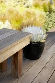 Potted Plants And Wood Benches Succulent Landscaping Succulent Landscape Design Asian Landscape
