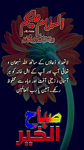 Naheed Naqvi (naheednaqvi87)