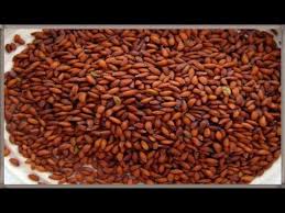 فوائد حب الرشاد 20 فائدة صحية مذهلة لحب الرشاد أضرار وكيفية استخدام حب الرشاد Youtube Dog Food Recipes Food Animals Food