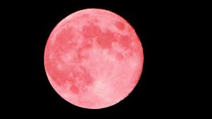 Secretul bogatiei rhune puternice pentru bani dorinte. Moon Full Pink In Scorpio How Does This Astrological Astrology Affect Us Astro Fun