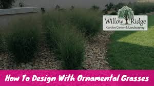 Ornamental grass landscape ornamental grasses landscaping plants front yard landscaping outdoor plants outdoor gardens large outdoor planters looking to add some ornamental grass to your landscaping? How To Design With Ornamental Grasses Willow Ridge Garden Center Landscaping
