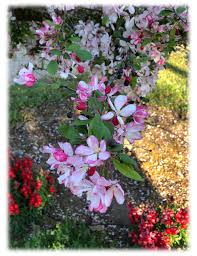Hughson Arboretum & Gardens Margaret's Patio Donor Site