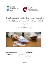 The ministry for small and medium. Fundamentarea Deciziei De Creditare Bancara A Activitatii Curente A Unei Intreprinderi Mici Si Mijlocii Sc Moldomec Sa