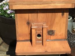 Several species of bees bore into wood. Award Winning Bumblebee Nest Box Nurturing Nature