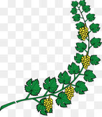 تصميم شعار لوجو ورق عنب; Ø¬Ø¯Ø§Ø±ÙŠØ© Ø§Ù„ØªØ§Ø¬ ØªØ­Ù…ÙŠÙ„ Ù…Ø¬Ø§Ù†ÙŠ Ù…Ø¹Ø·Ù Ù…Ù† Ø§Ù„Ø£Ø³Ù„Ø­Ø© Ø´Ø¹Ø§Ø±Ø§Øª Ø¨Ù„Ø§Ø²ÙˆÙ† ÙƒØ±Ù…Ø© Ø§Ù„Ø¹Ù†Ø¨ Ø£ÙˆØ±Ø§Ù‚ Ø§Ù„ØºØ§Ø± ØµÙˆØ±Ø© Ø¨Ø§Ø¨ÙˆØ§ Ù†ÙŠÙˆ ØºÙŠÙ†ÙŠØ§