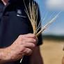Swedish Green Technology Advances with Yara's CCS Fertilizers and HydX's Sustainable Facilities
