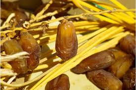 Do you know names of fruits in english and hindi fruits name (फलों के नाम): Date Fruit In French Lingopolo