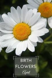 One of a kind flower arrangements and fresh bouquets are a lovely reminder of the unique and beautiful life that began on this special day. April Birth Flower Australia Birth Flowers And Birth Stones