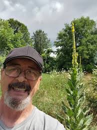 Lovin me some mullein tea.