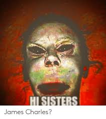 In today's video, i reacted to people doing james charles impressions. Hi Sisters James Charles Sisters Meme On Me Me