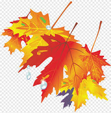 Air dried leaf print clay. Autumn Leaf Drawing Color Autumn Leaves Maple Leaf Png Pngegg