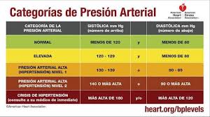 Imagen De Veronica Banegas Font En Anatomy Presion Arterial Tension Arterial