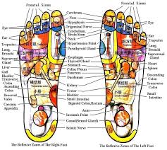 Bianstone Leg Reflexology Chart Acupuncture Points Chart