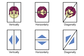 Jul 19, 2021 · insert a horizontal line from the ribbon. Mirror Lines Can Be Placed Anywhere You Just Reflect