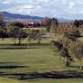 Sun Country Match Play Championship