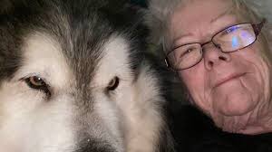 Fundraiser by Simone Douglas : Help Prue get Lokis knee operation