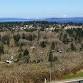 CAG/CARTO2026 UVic area walking tour
