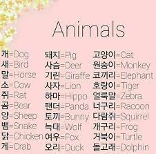 pin by chyra on language learning korean language learning learn korean alphabet learn korean