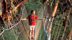 Poring canopy walkway (ceb) hutan di malaysia (id); Private Rundreise Naturschatze Borneos