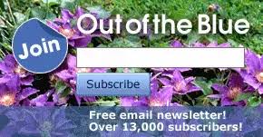 Plant Profile for Veronica 'Shirley Blue'