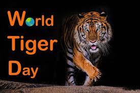 Wild tiger population had dropped by more. World Tiger Day History Importance And Celebration Earth Reminder