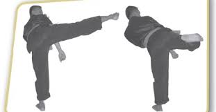 Pada kumite shiai yang biasa digunakan oleh forki yang mengacu peraturan dari wkf, idealnya adalah menggunakan matras dengan lebar 10 x 10 meter. Jenis Tendangan Dalam Pencak Silat Artikel Penjas
