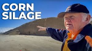 Calf Health Champions