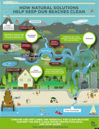 Pin On Charts Graphs Infographics