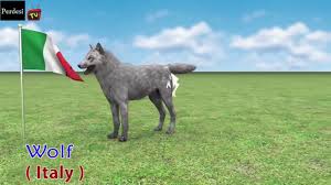 Dec 28, 2017 · every country has its national animal that's considered a symbol of it. National Animals Of Countries Flags And Countries Name With National Animal Flags Youtube
