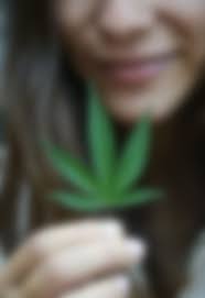 Store Slumped Kitchen